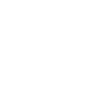 icon that represents shopify and e-commerce stores